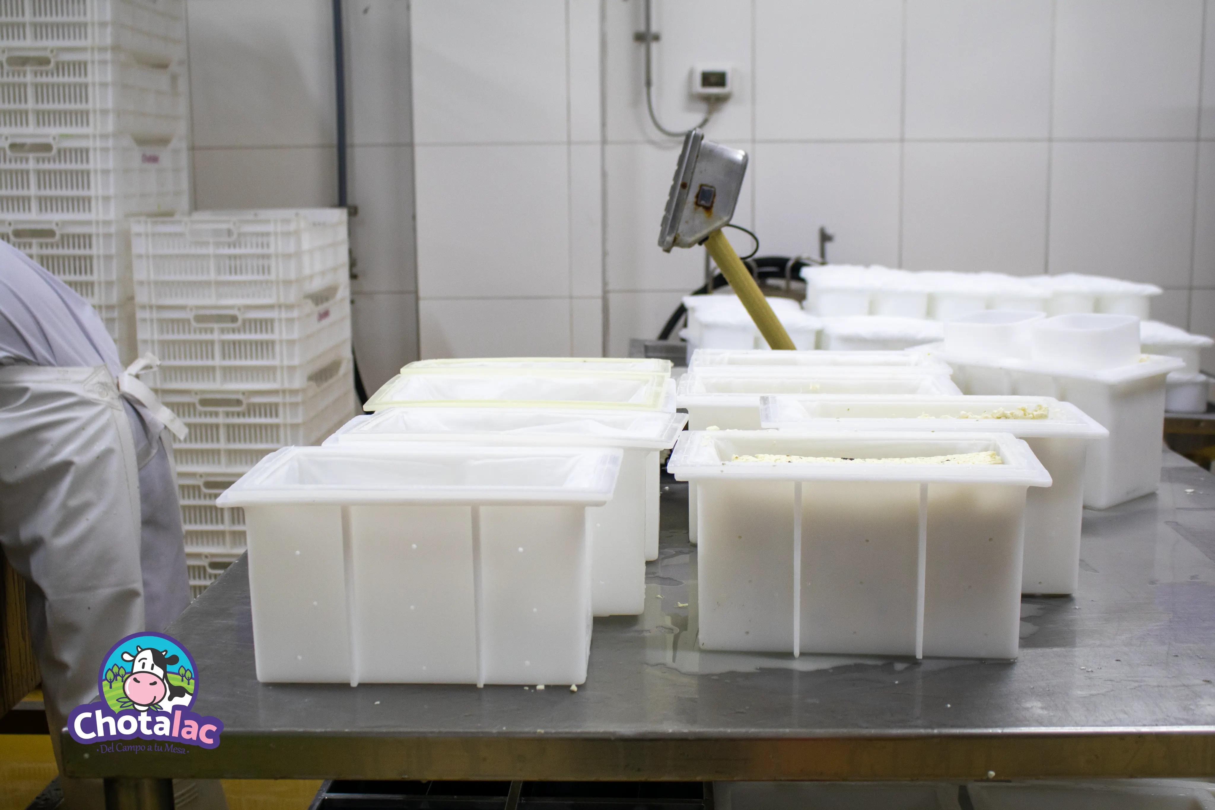 Elaboración de quesos