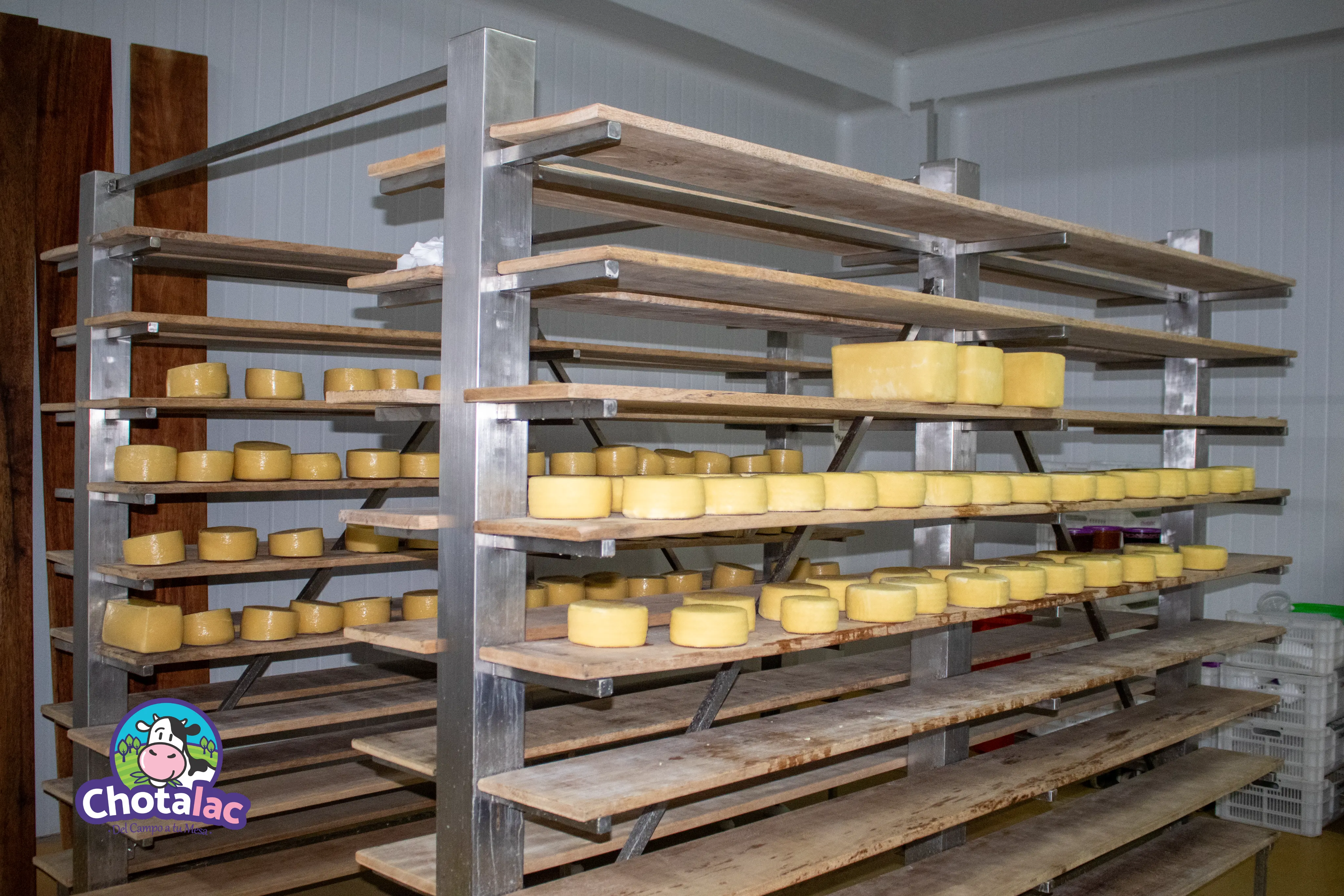 Área de maduración